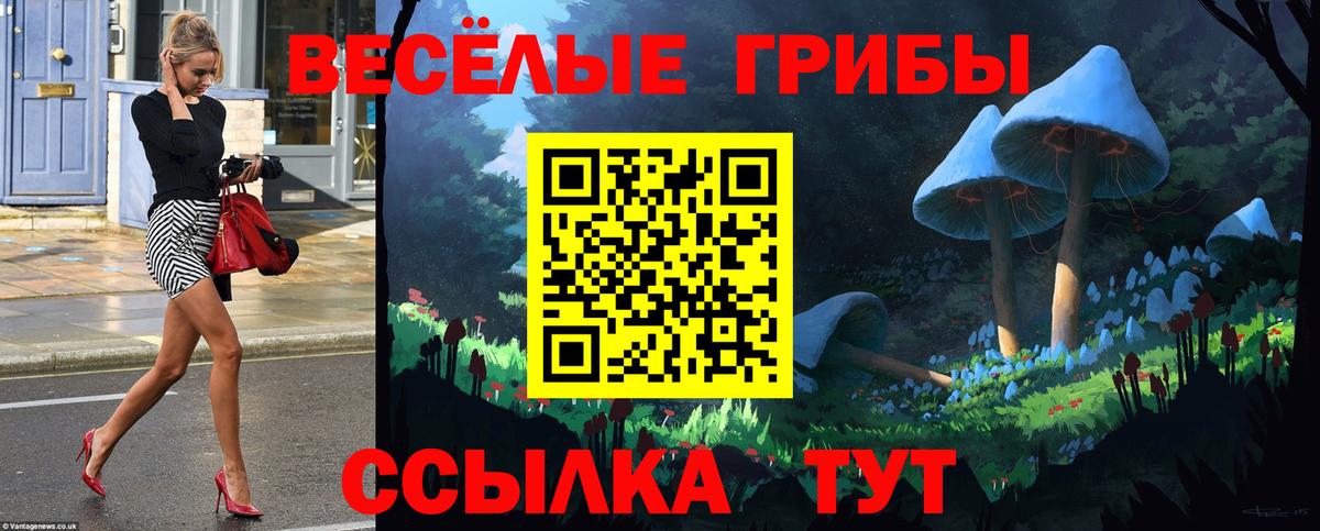 Галлюциногенные грибы Cubensis Дедовск